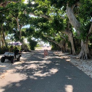 Meet your Posher, Carey